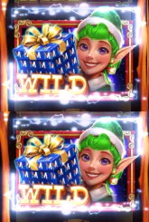Martin Elves